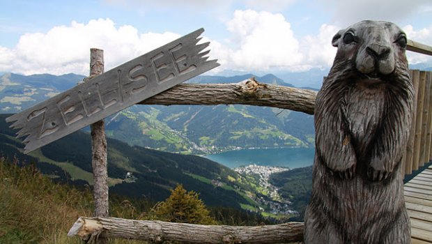 Hlavní foto článku