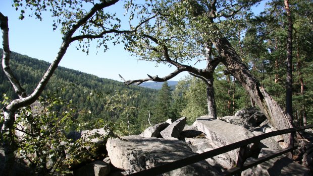 Hlavní foto článku