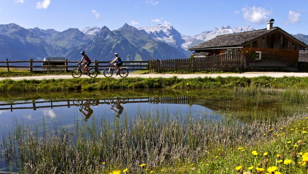 Hlavní foto článku