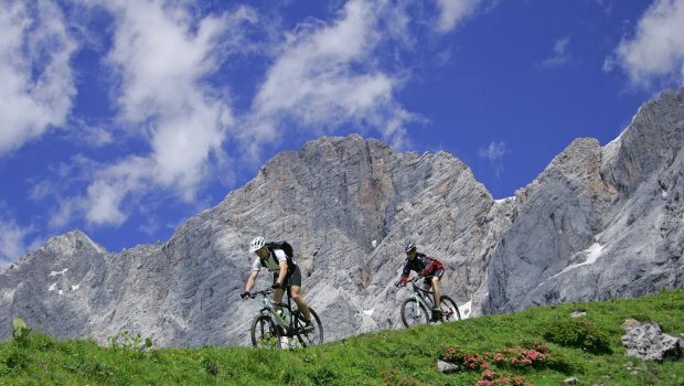 Hlavní foto článku