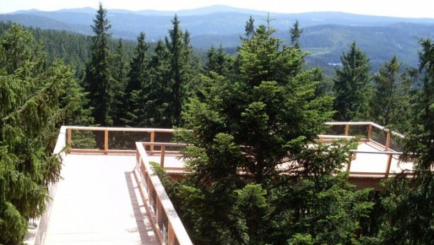 Hlavní foto článku