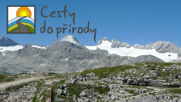 Hlavní foto článku