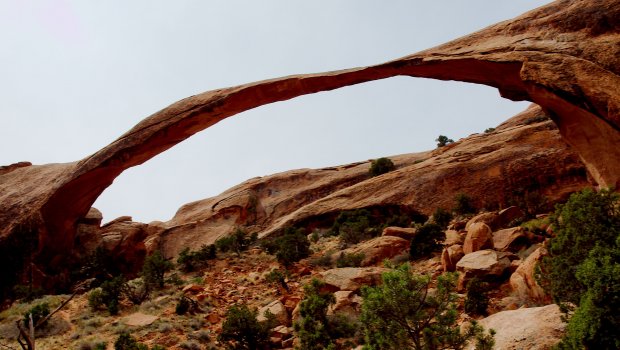 Hlavní foto článku