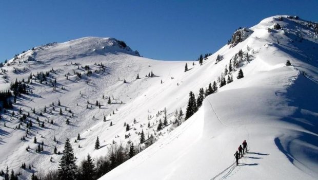 Hlavní foto článku