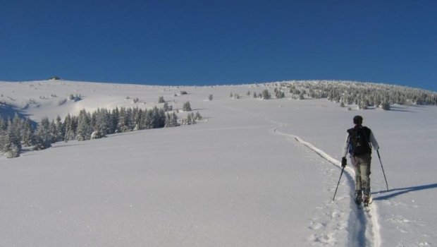 Hlavní foto článku