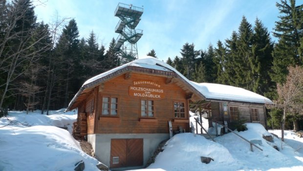 Hlavní foto článku