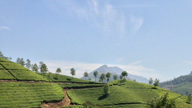 Hlavní foto článku