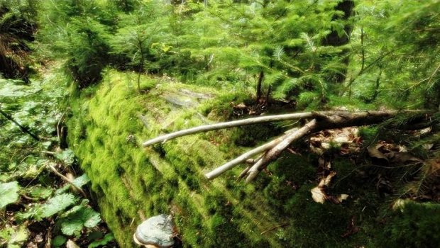 Hlavní foto článku