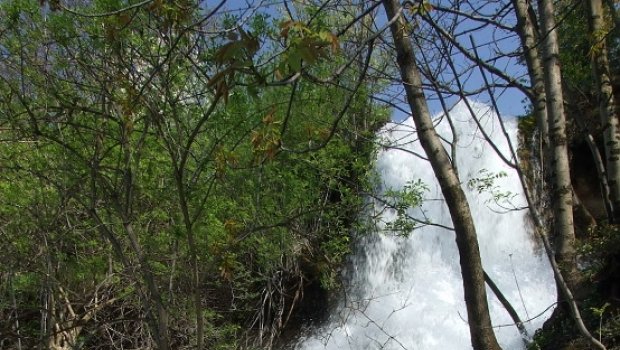 Hlavní foto článku